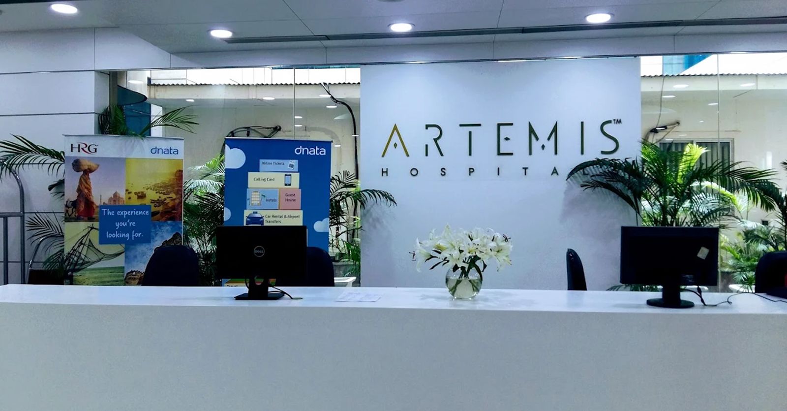 Artemis Hospitals Search Strategy